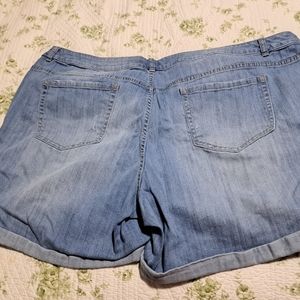 Lane Bryant size 26 distressed shorts.